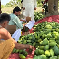 Farm sorting